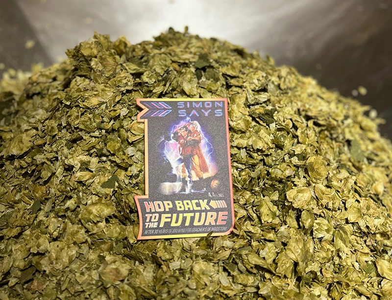 hop-back-to-the-future